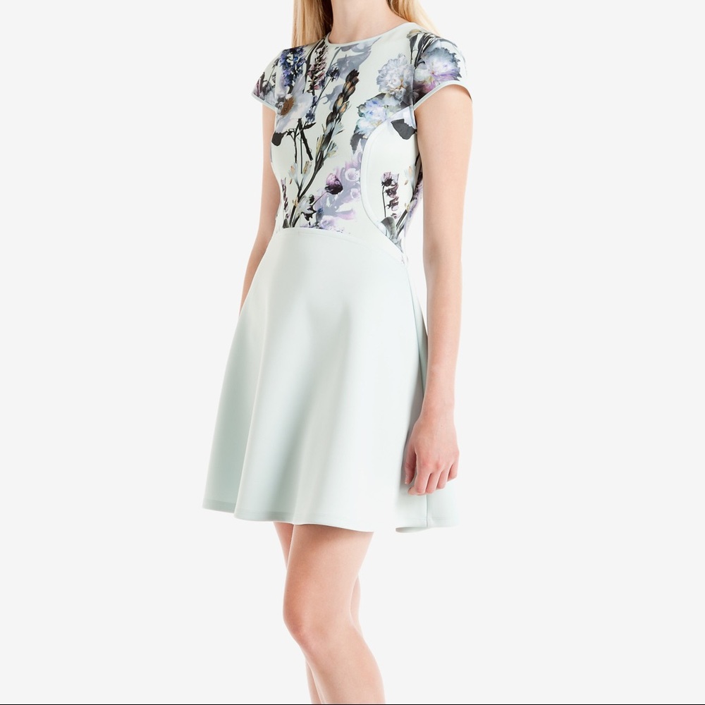 Ted Baker Torchlit Skater dress Pale Green - SALE!